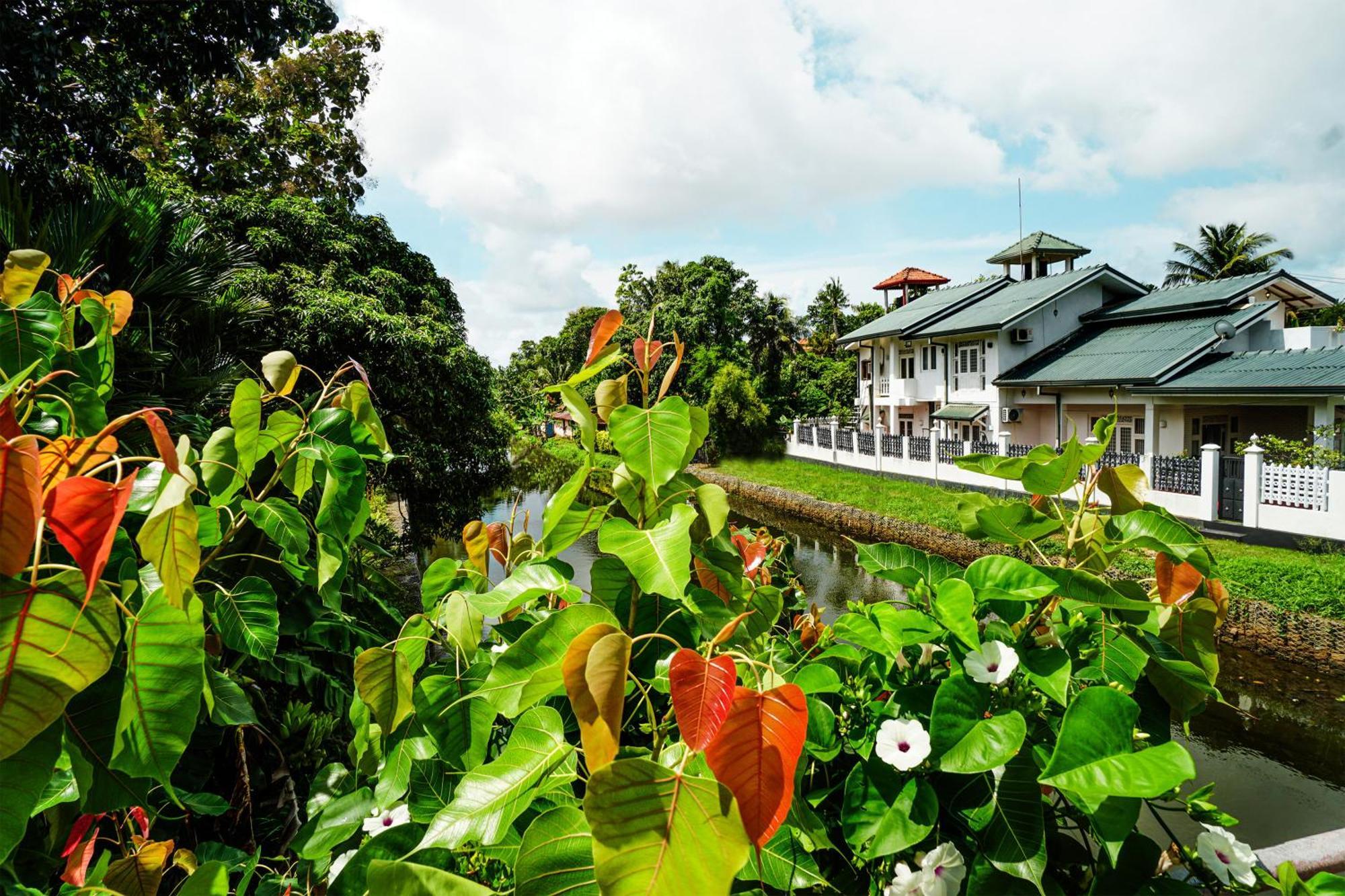 Ayur Ayur White Sail Villa Dalupotha 外观 照片